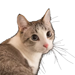 cat min